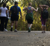 Hardloopgroep in Apeldoorn