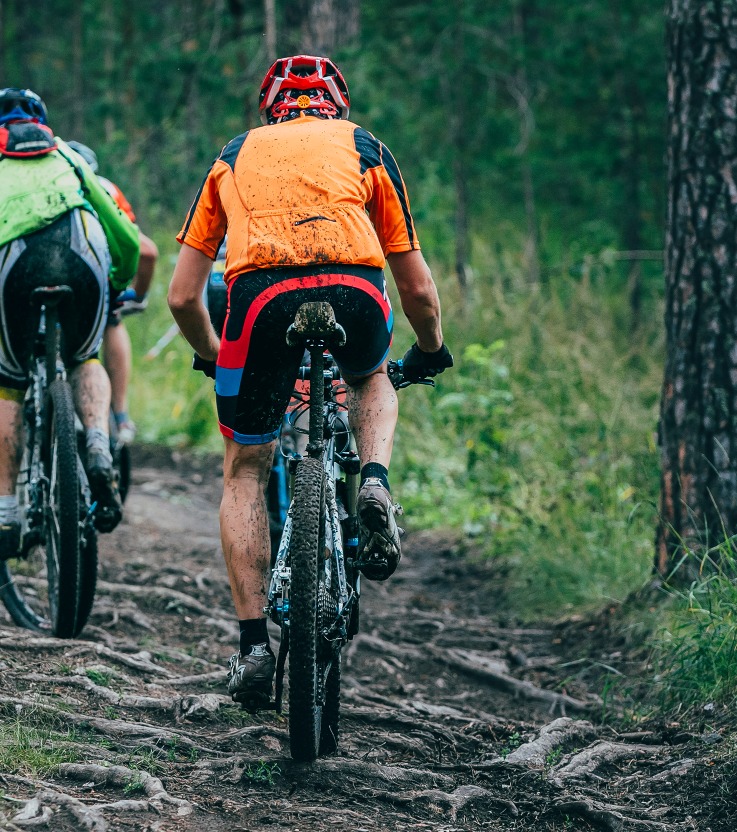 Mannen mountainbiken in bossen bij Apeldoorn