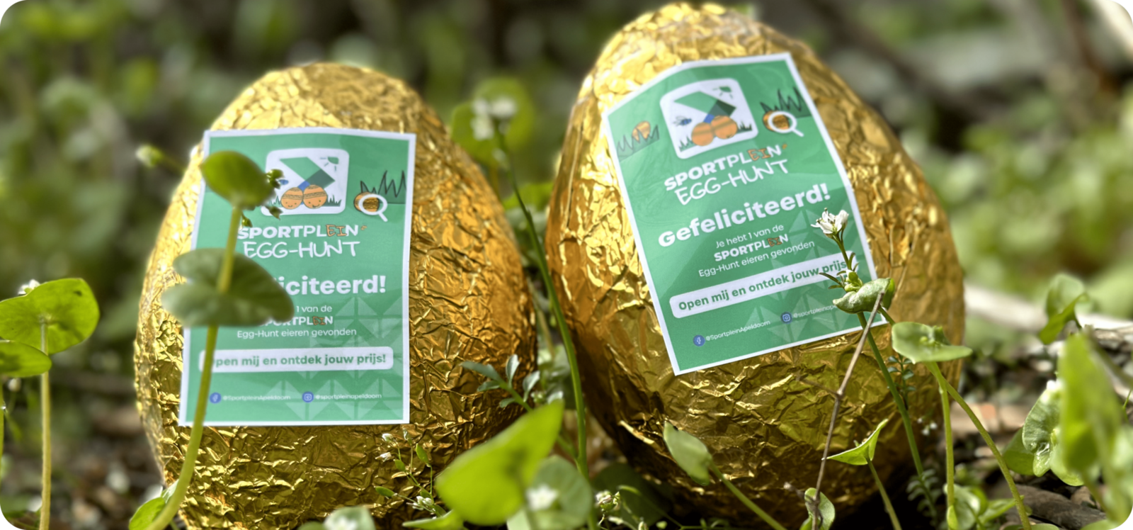 Gouden eieren voor de Sportplein egg-hunt