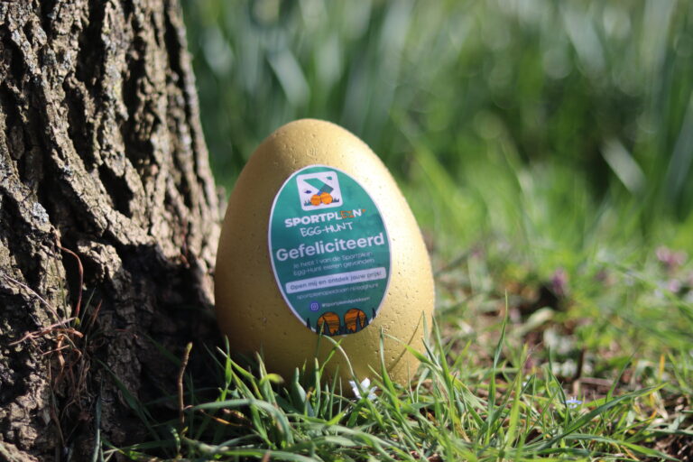 Sportplein Egg-Hunt